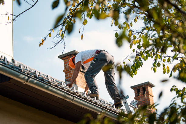 Best Local Roofing Companies  in Astia, OR
